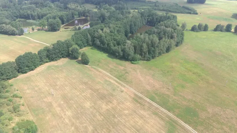 Prodej louky, Chlum u Třeboně - Žíteč, 360000 m2