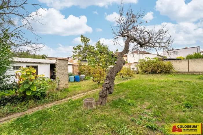 Prodej rodinného domu, Hrušovany nad Jevišovkou, 114 m2