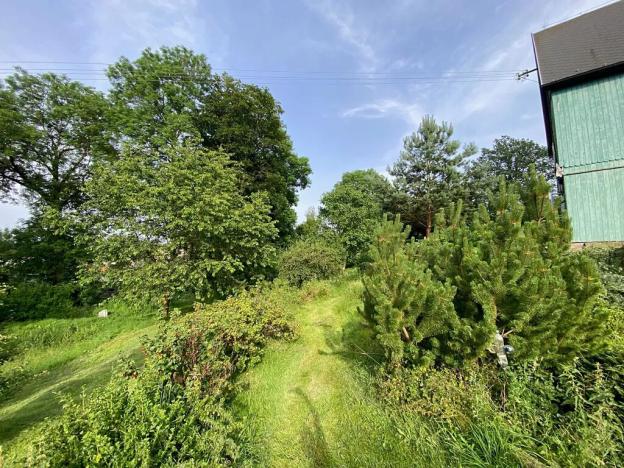 Prodej rodinného domu, Hranice, Dobrovského, 16 m2