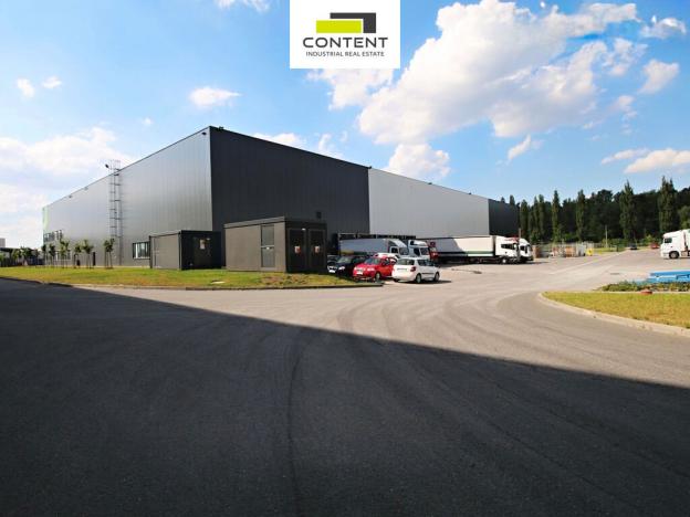 Pronájem skladu, Solnice, Průmyslová, 9368 m2