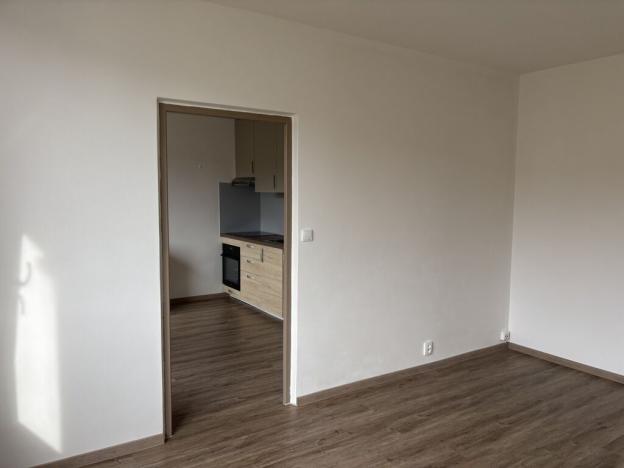 Pronájem bytu 1+1, Děčín - Děčín VI-Letná, Severní, 36 m2