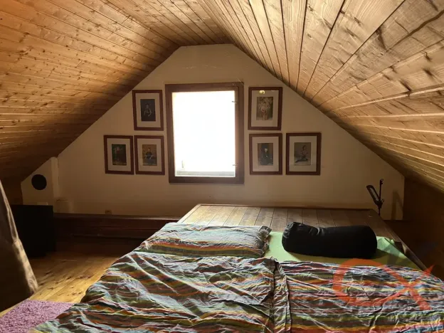 Prodej vícegeneračního domu, Čelechovice na Hané, 438 m2