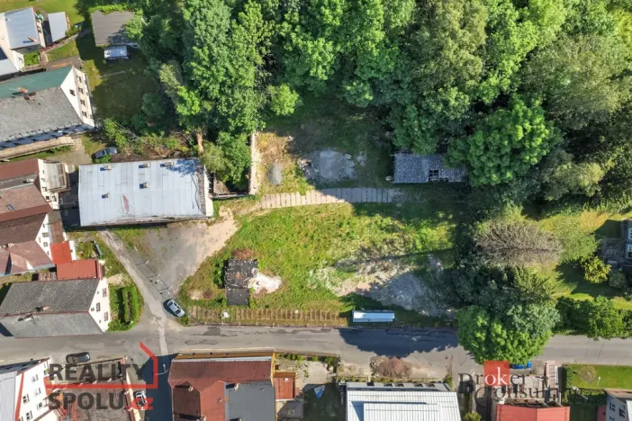 Prodej komerčního pozemku, Olešnice v Orlických horách, 2963 m2