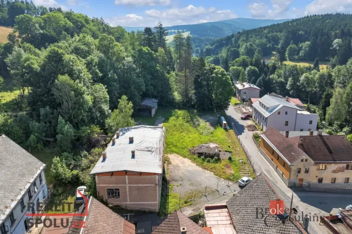 Prodej komerčního pozemku, Olešnice v Orlických horách, 2963 m2