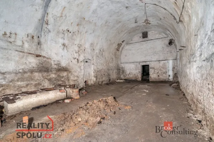 Prodej komerčního pozemku, Olešnice v Orlických horách, 2963 m2