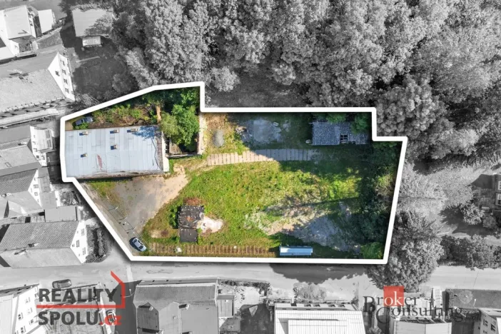 Prodej komerčního pozemku, Olešnice v Orlických horách, 2963 m2