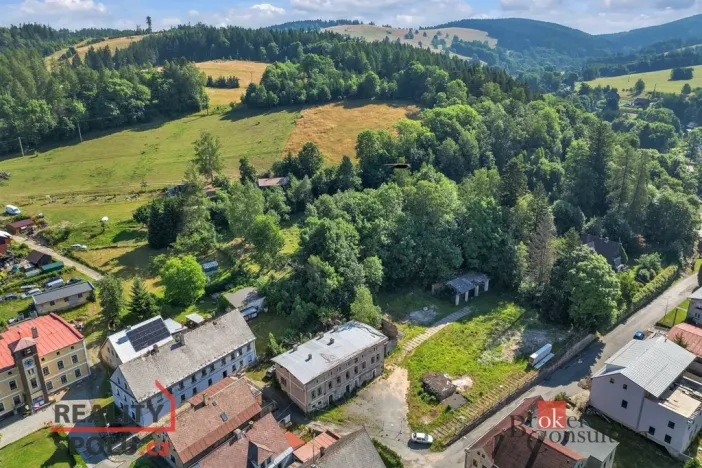 Prodej komerčního pozemku, Olešnice v Orlických horách, 2963 m2