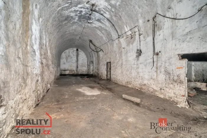 Prodej komerčního pozemku, Olešnice v Orlických horách, 2963 m2