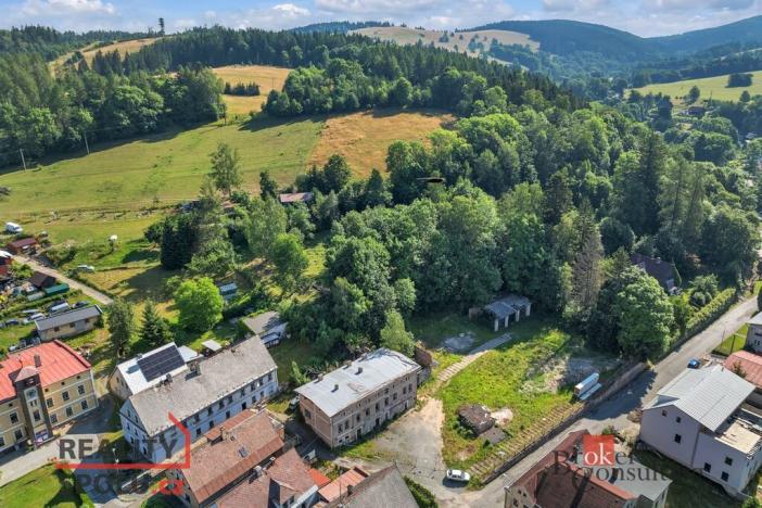 Prodej pozemku pro bydlení, Olešnice v Orlických horách, 2963 m2