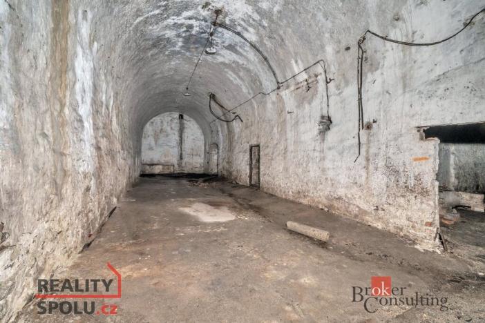 Prodej pozemku pro bydlení, Olešnice v Orlických horách, 2963 m2