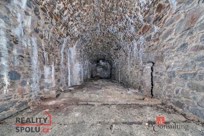 Prodej pozemku pro bydlení, Olešnice v Orlických horách, 2963 m2