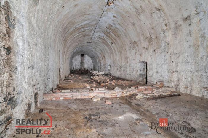 Prodej pozemku pro bydlení, Olešnice v Orlických horách, 2963 m2