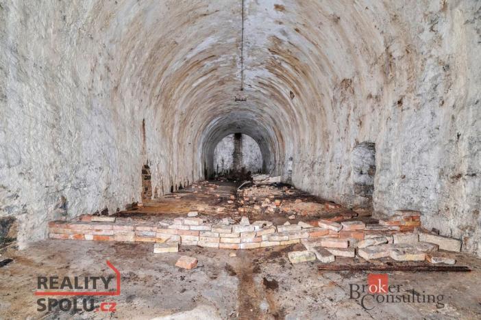 Prodej pozemku pro bydlení, Olešnice v Orlických horách, 2963 m2