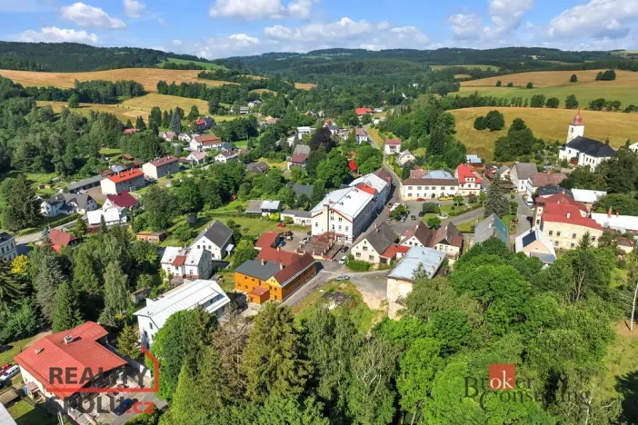 Prodej pozemku pro bydlení, Olešnice v Orlických horách, 2963 m2