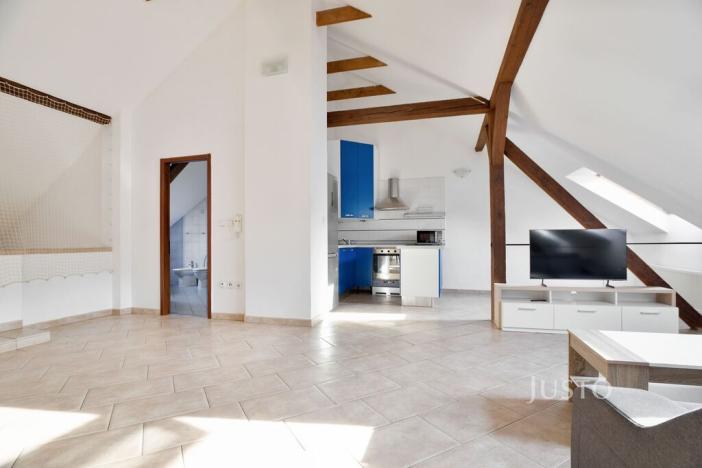 Prodej vícegeneračního domu, Ústí nad Labem - Ústí nad Labem-centrum, Králova výšina, 300 m2