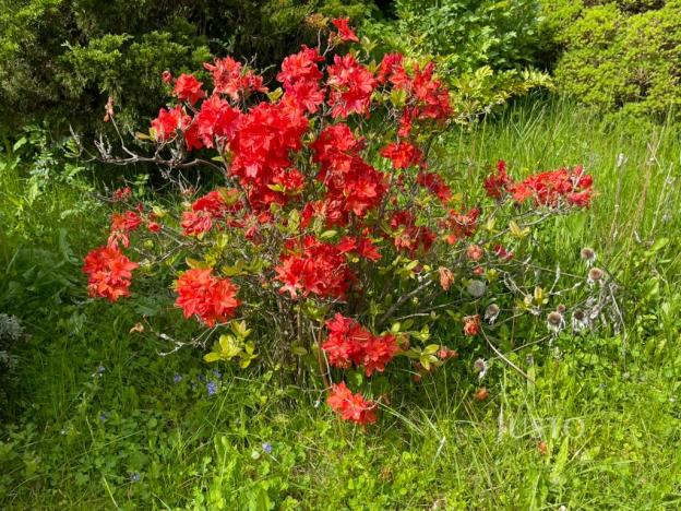 Prodej chaty, Vrchlabí, 12 m2