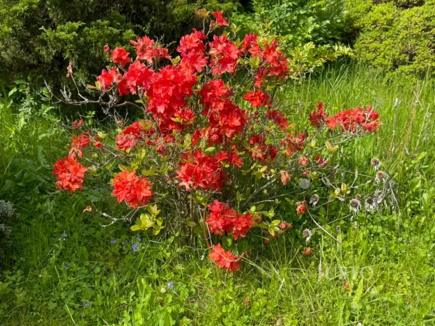 Prodej chaty, Vrchlabí, 12 m2