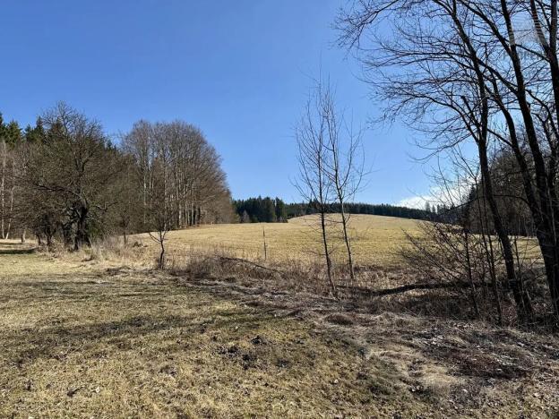 Prodej zemědělské usedlosti, Sněžné, 200 m2