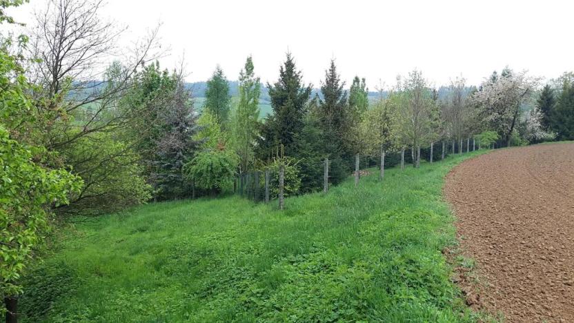 Prodej zahrady, Rohle, 1514 m2