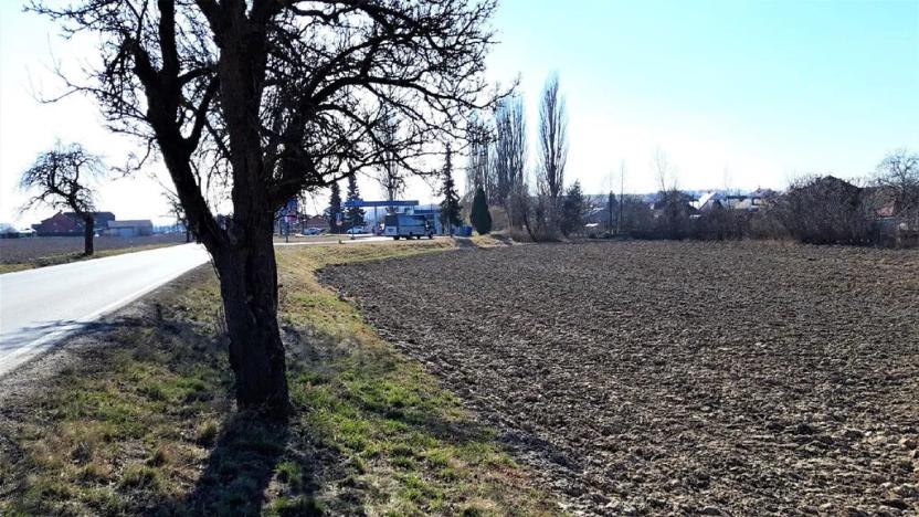 Prodej komerčního pozemku, Libina, 367 m2