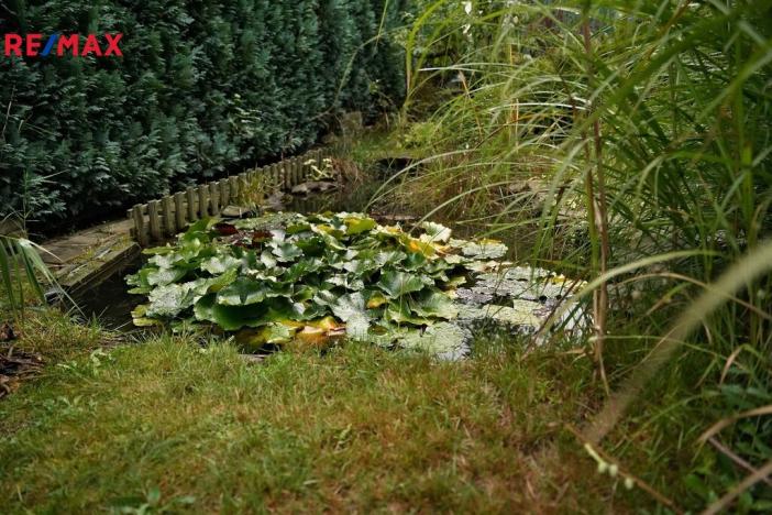 Prodej rodinného domu, Sobkovice, 160 m2