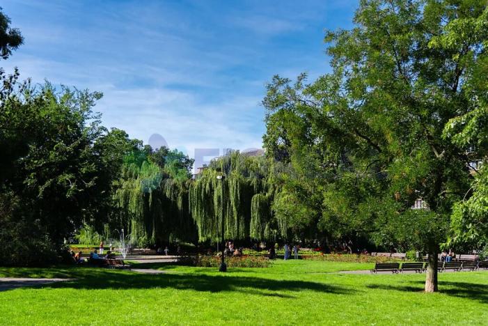 Prodej bytu 1+kk, Praha - Nové Město, Příčná, 30 m2