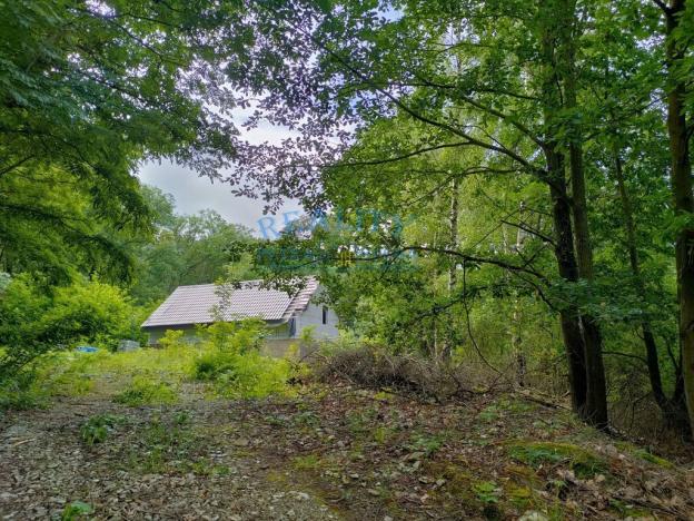 Prodej pozemku pro bydlení, Blíževedly - Skalka, 4292 m2