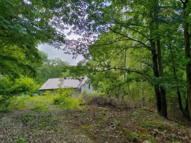 Prodej pozemku pro bydlení, Blíževedly - Skalka, 4292 m2