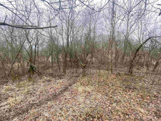 Prodej pozemku, Třebenice - Medvědice, 4154 m2