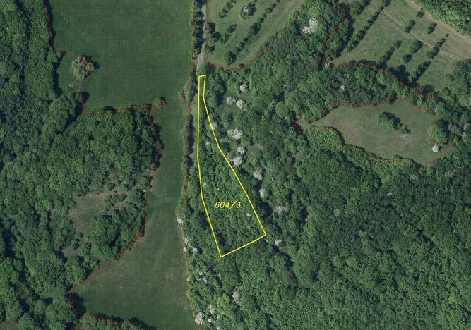 Prodej pozemku, Třebenice - Medvědice, 4154 m2