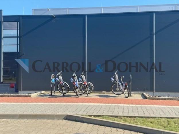 Pronájem výrobních prostor, Ostrava - Hrušov, Žižkova, 13500 m2