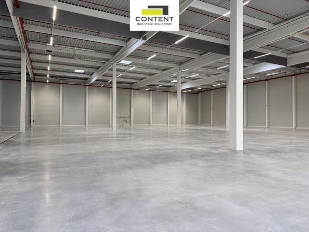 Pronájem výrobních prostor, Myslinka, 8727 m2