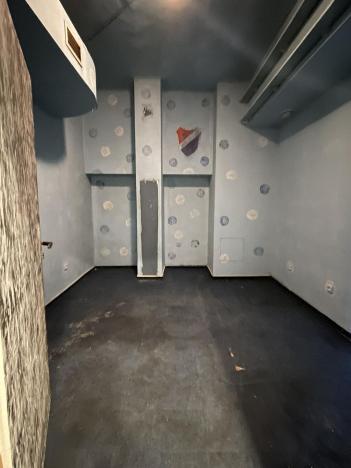 Pronájem skladu, Ostrava - Výškovice, Proskovická, 218 m2