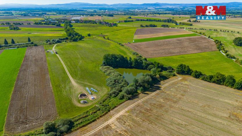 Prodej zemědělské usedlosti, Dříteň - Libív, 125 m2