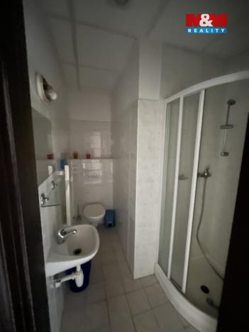 Prodej ubytování, Zásada, 600 m2