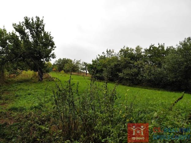 Prodej podílu 2/3 rodinného domu, Miroslavské Knínice, 80 m2