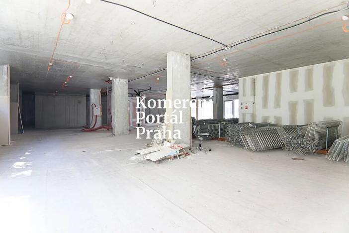 Pronájem restaurace, Praha - Nusle, Lomnického, 470 m2