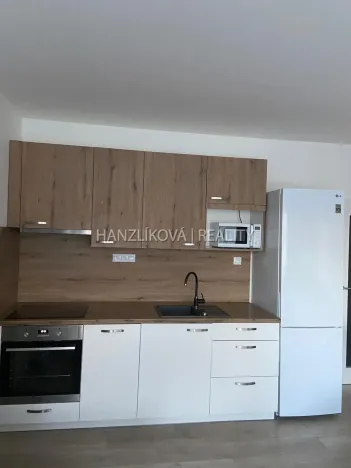 Pronájem bytu 1+kk, České Budějovice, O. Nedbala, 51 m2