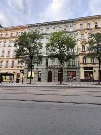 Pronájem bytu 3+kk, Praha - Vinohrady, 159 m2