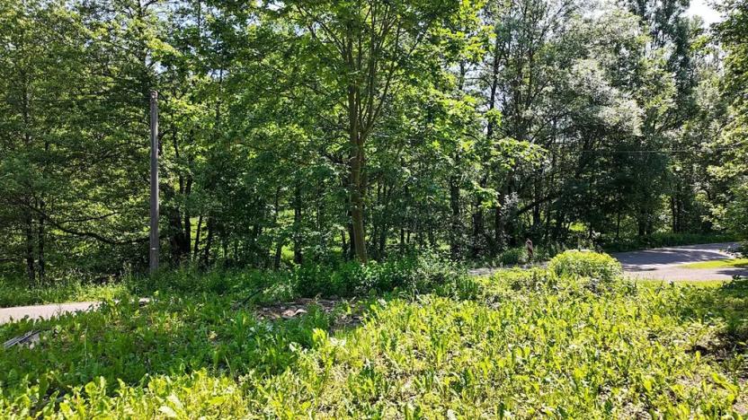 Prodej pozemku pro bydlení, Rokytnice v Orlických horách, 271 m2