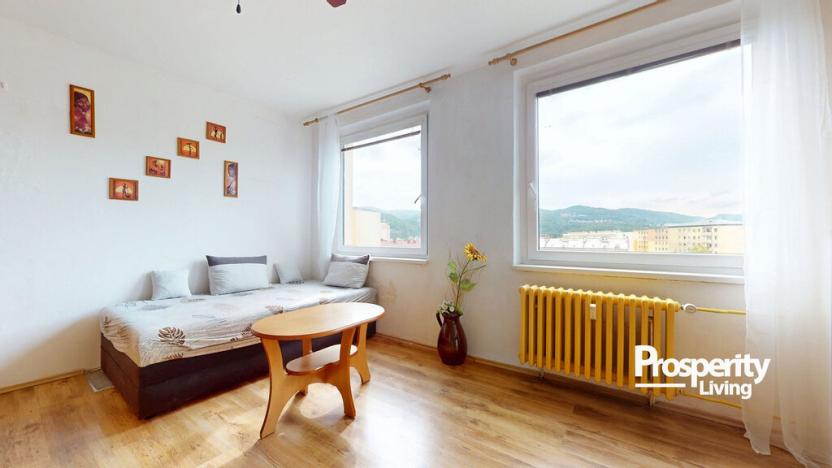 Prodej bytu 2+kk, Ústí nad Labem - Krásné Březno, Žežická, 48 m2