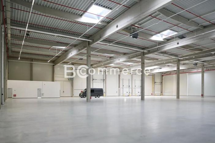 Pronájem skladu, Hrušovany u Brna, Vodní, 2988 m2