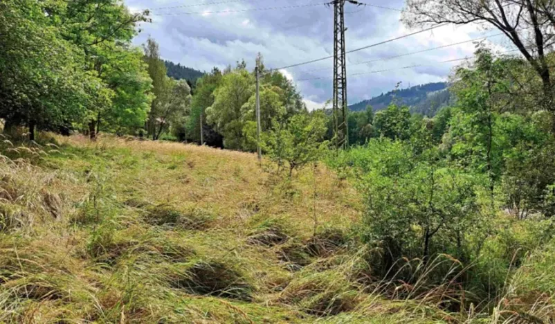 Prodej pozemku, Teplička, 1664 m2