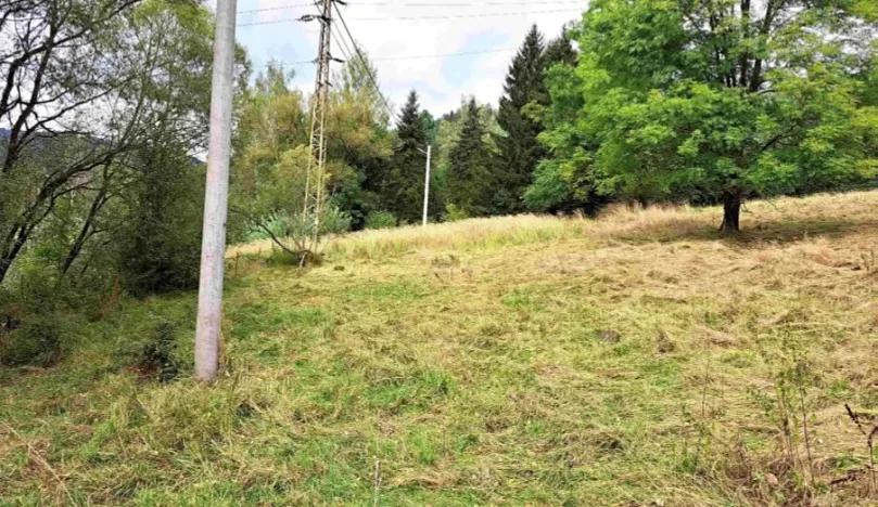 Prodej pozemku, Teplička, 1664 m2