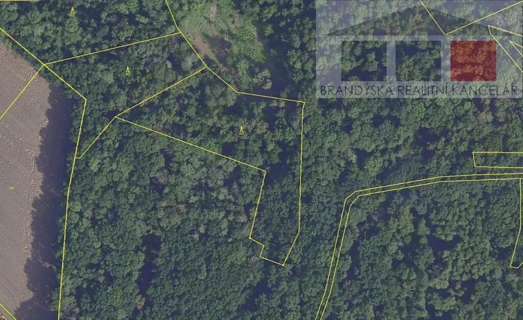 Prodej lesa, Přerov nad Labem, 7889 m2