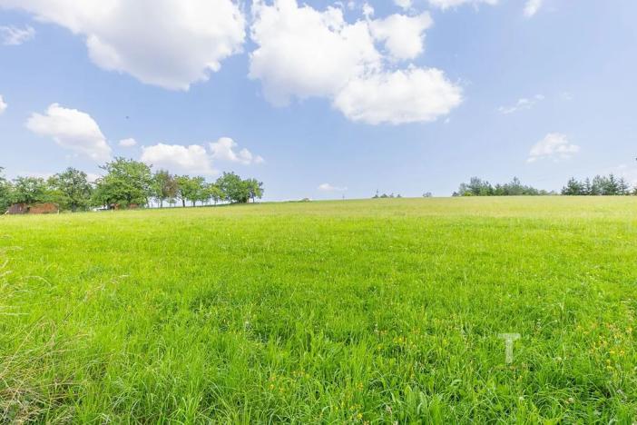 Prodej pozemku pro bydlení, Kunštát, 12345 m2