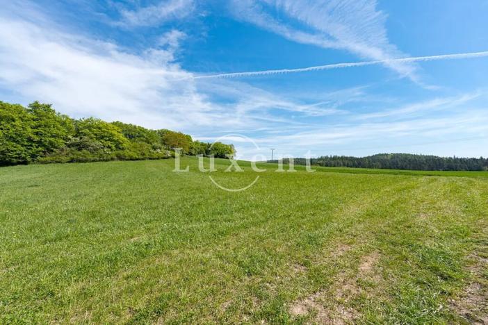 Prodej pozemku pro bydlení, Hrusice, Hlavačovská, 1113 m2