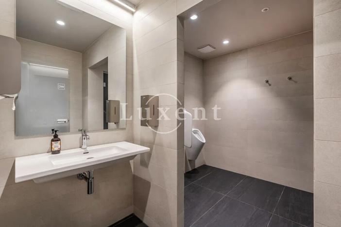 Pronájem bytu 2+kk, Praha - Smíchov, Holečkova, 114 m2