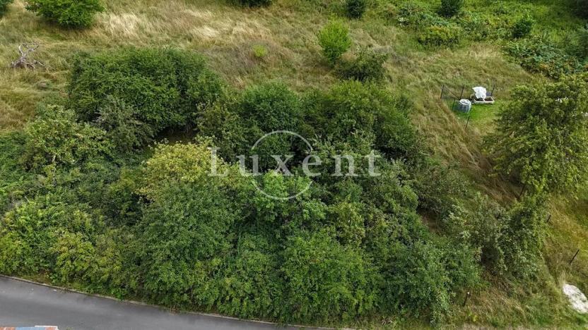 Prodej pozemku pro bydlení, Sadov, 5810 m2