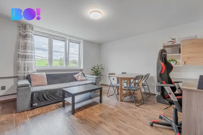 Prodej bytu 3+1, Hanušovice - Hynčice nad Moravou, 55 m2